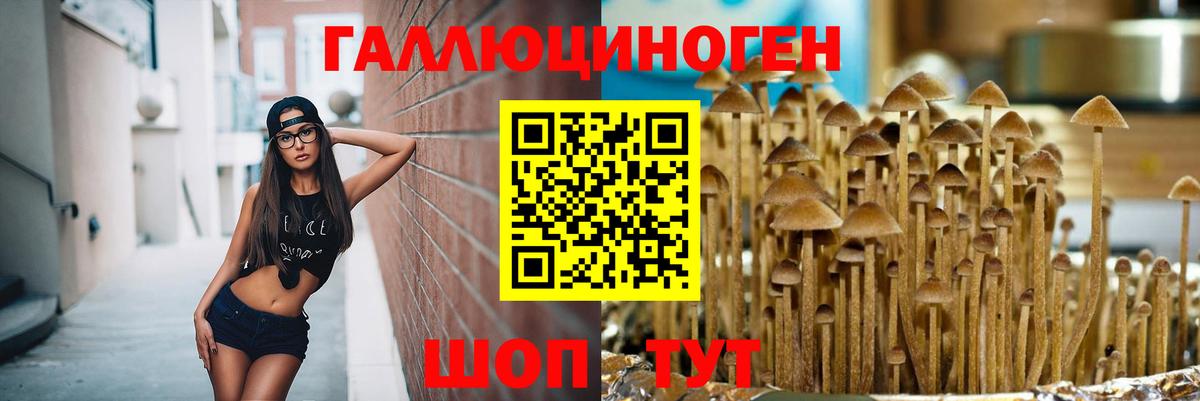 Норильск  Галлюциногенные грибы GOLDEN TEACHER  Вход с VPN 